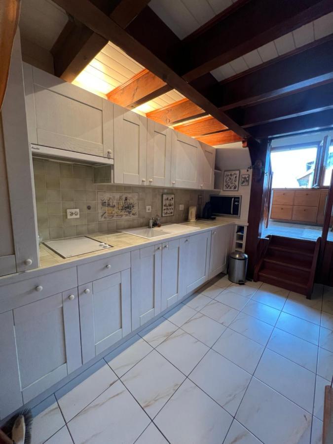 Rare 2 Bedroom With Private Beach On Lake Annecy Doussard Bagian luar foto